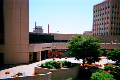 Reynolds American Headquarters 