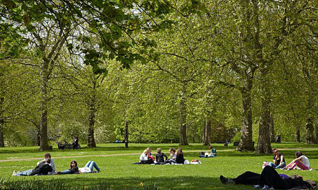 Smoke-Free Park