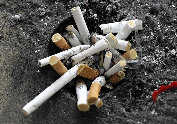 Cigarette Butts