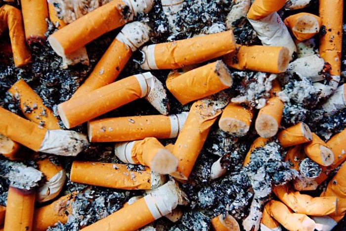 Cigarette butts