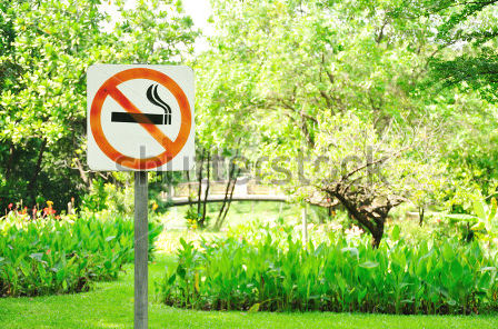 Smoking Ban in Parks